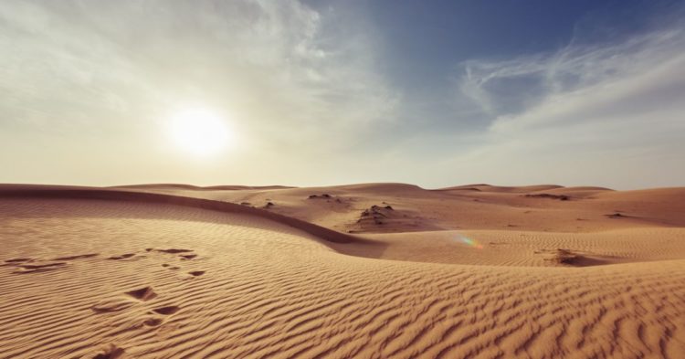 FTX’s Illiquid Holdings Filled With Tokens That Sit in Venture Funds in Which It Invested; Bitcoin Falls Below $21K