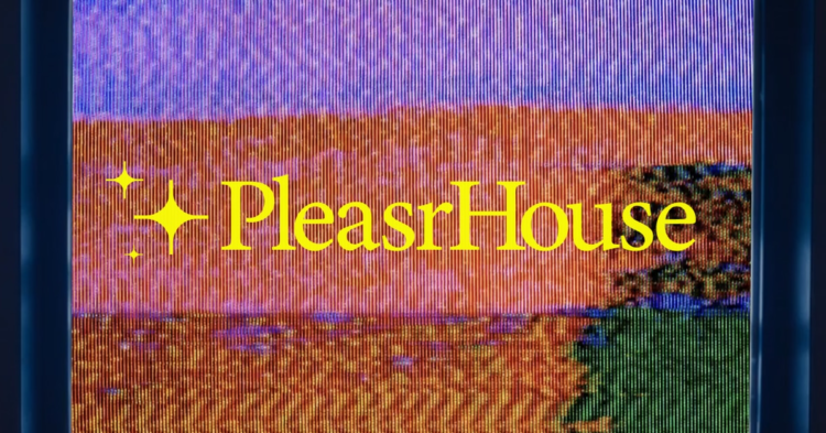 PleasrDAO Launching Live Auctions With Snowden, Ellsberg NFT