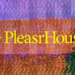 PleasrDAO Launching Live Auctions With Snowden, Ellsberg NFT
