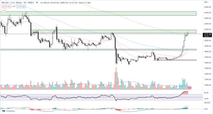 Are We Witnessing the Return of the Crypto Bulls or a Bear Market Bull Trap?