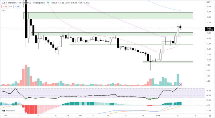 Solana Price Shows it is back From the Dead