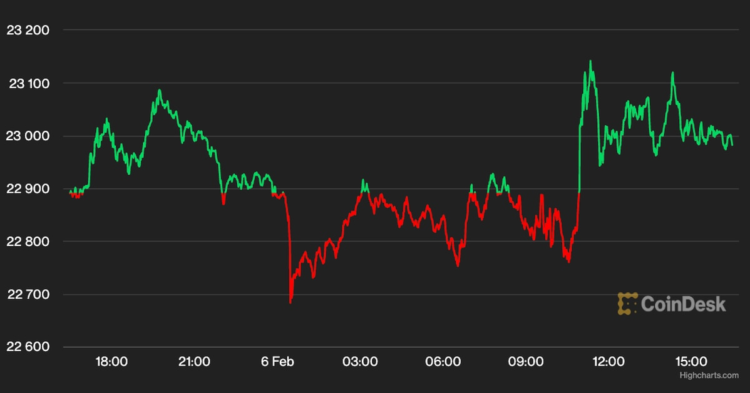 Bitcoin Holds Steady Near $23K as Investors Weigh Their Next Steps