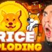 Tamadoge Crypto Pumping with SuperDoge Arcade Gameplay | $TAMA Memecoin Price Prediction