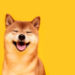 Shiba Inu community urges Binance to list BONE with huge petition