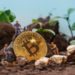 Nuclear Bitcoin Mining at Terawulf Is Only One Piece of the Green Mining Jigsaw