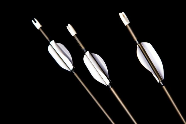 Three Arrows Capital NFTs are About to be Sold Off by the Liquidator