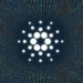 Cardano: Liqwid Finance massive update live and Paribus launches in ADA ecosystem