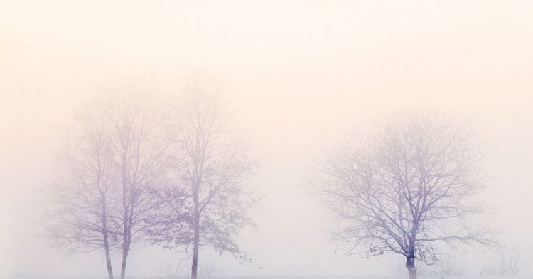 Will DeFi Emerge From Crypto Winter Stronger?