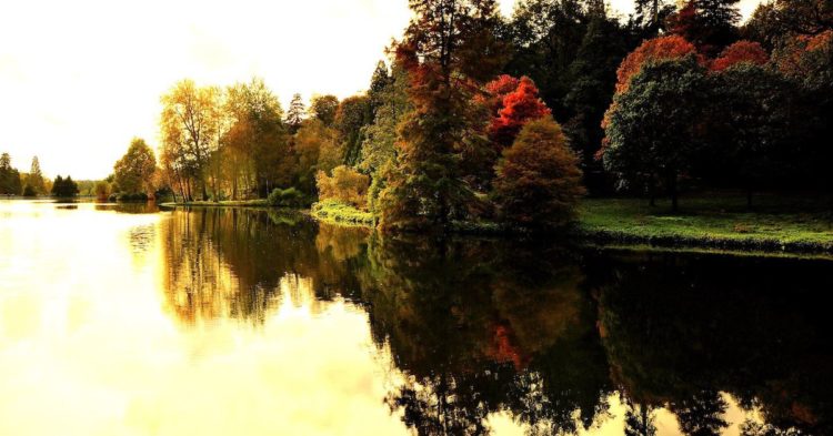 First Mover Asia: ConsenSys Chief Cryptoeconomist Sees Little Drama Ahead for Bitcoin