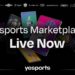 Yesports Launches the Largest Esports Marketplace for Gaming Expansion into Web3 Alongside 40+ Partners