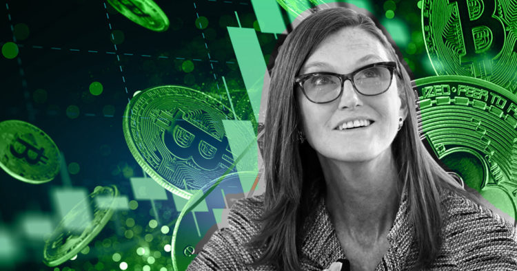 ARK Invest’s Cathie Wood ‘not surprised’ at crypto market rebound
