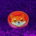 Shiba Inu: Hundreds of projects to use Shibarium and build the next generation ecosystem – Can it drive SHIB to $0.001?