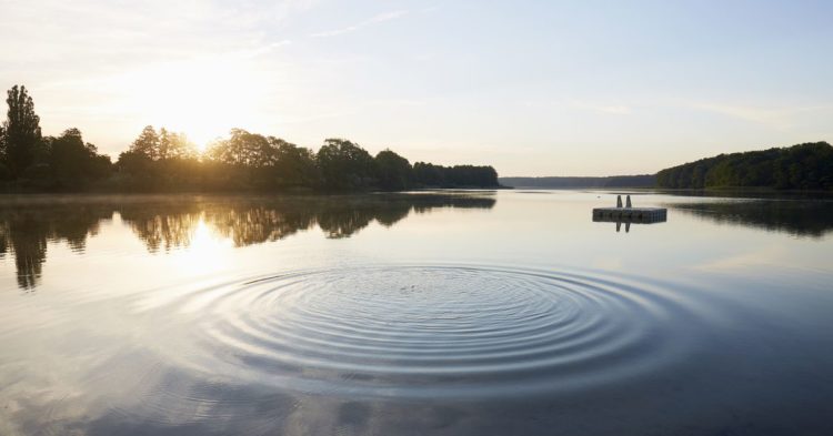 Ripple's Effect on Financial Advisors