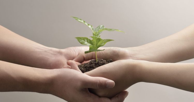 DeFi Hub Nibiru Chain Valued at $100M After $8.5M Seed Funding Round