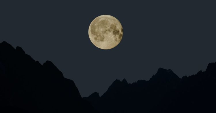 Terra Classic Hopefuls Mull Revival of Failed UST Stablecoin