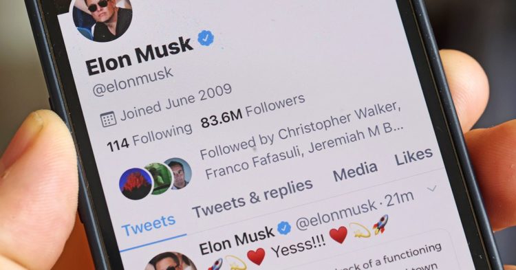 Is Chief Twit Elon Musk Also Top DOGE?