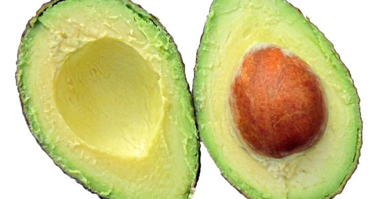 The Crypto Miner Reckoning: No Fate but What We Make