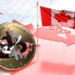 Cryptocurrencies in Canada: mining vs sustainability