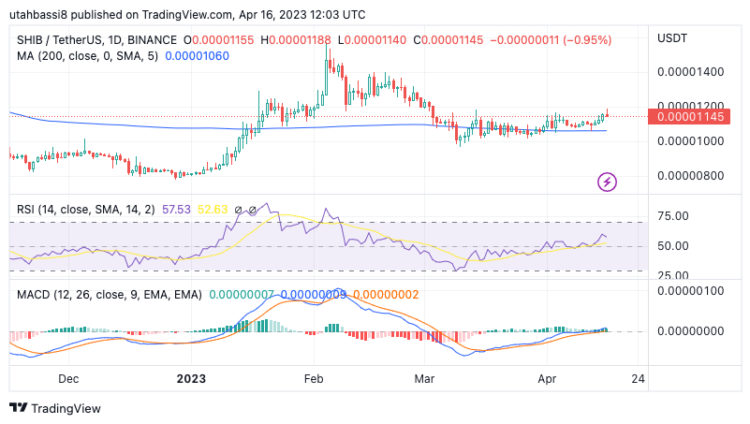 Shiba Inu Price Prediction As SHIB Overtakes Binance USD in Market Cap
