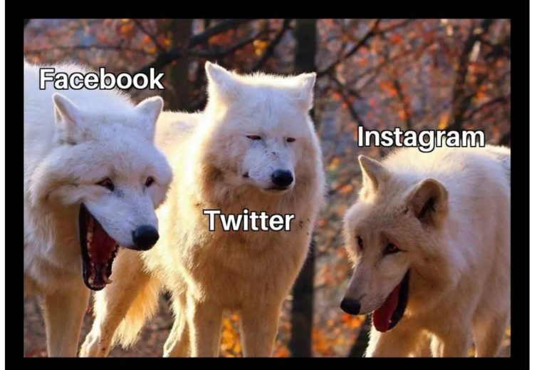 Position Obliteration, FTX Reboot, Funds Freeze and 20 Crypto Jokes