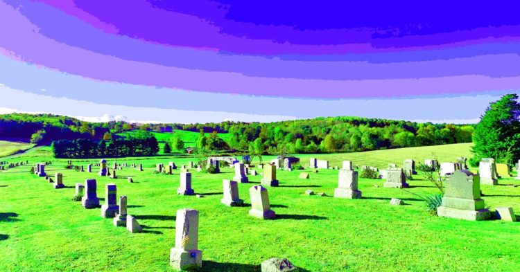 A Eulogy for Bittrex, the Once Popular ICO Exchange