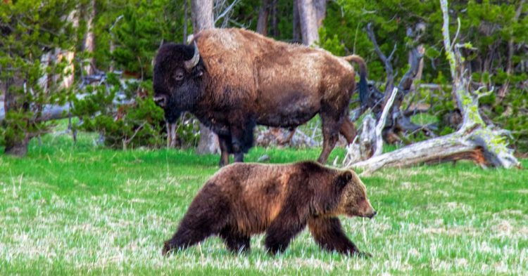 First Mover Asia: Coming Soon: a Retest of Bitcoin at $30K