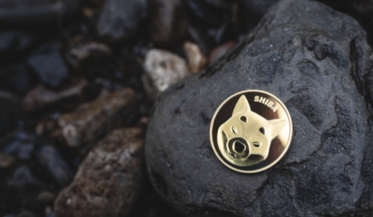 10 Crypto Experts on Meme Coins, Next WOJAK, TURBO, BOB, KEK, REDDIT, PEPE Price Predictions