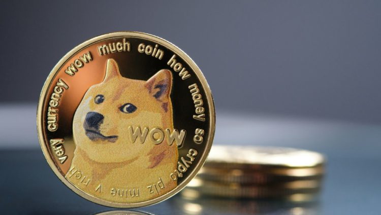 Dogecoin Transaction Count Rises 60X, But Why Are Prices Down?