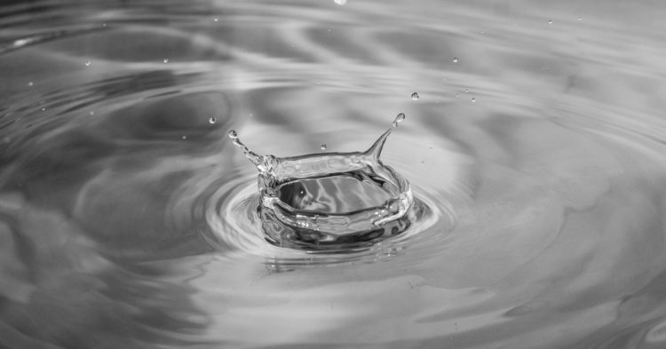 Canto Blockchain Difficulties Demonstrate Dreary DeFi Outlook