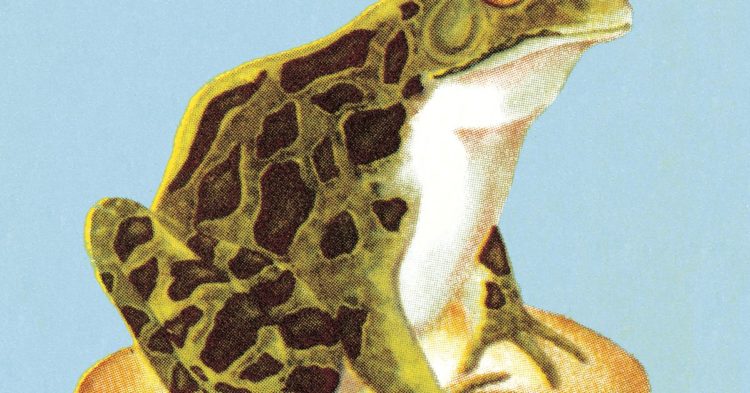 Bitcoin Community Divided Over BRC-20 Meme-Coin Fever Causing Congestion