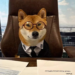 Dogecoin Clone Doge CEO Skyrockets Nearly 200%