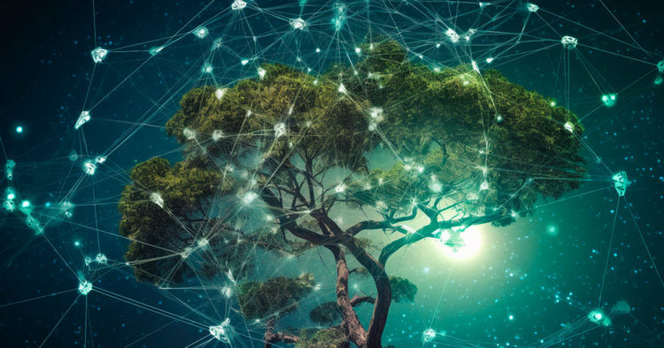 Is blockchain quickly becoming the solution for ESG?