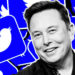 Elon Musk hires Twitter’s next CEO; former Meta COO a potential candidate