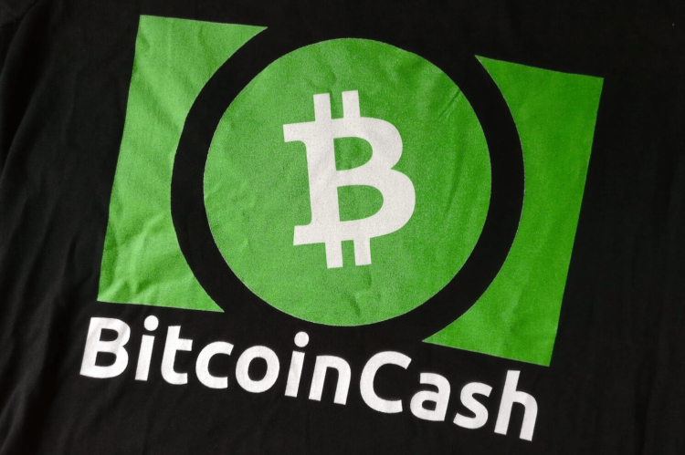 Bitcoin Cash Surges to One-Year High – Could This Signal a Bull Run?