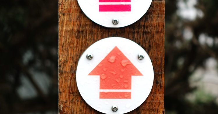 Three Arrows Capital Demands to Take Part in Genesis Bankruptcy Mediation