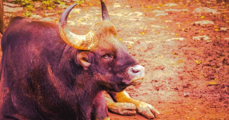 Bitcoin, Dogecoin Lead Bounce in Crypto Majors Day After Record 8-Month Liquidations