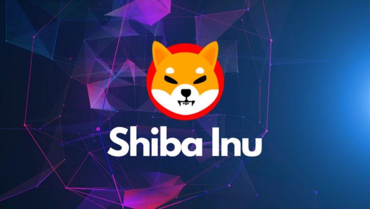 Shiba Inu Token Burn Skyrockets Over 6,000% as SHIB Price Continues Uptrend