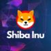 Shiba Inu Token Burn Skyrockets Over 6,000% as SHIB Price Continues Uptrend