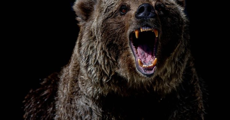 XRP, ADA Lead Declines in Major Cryptocurrencies as Bitcoin Drops Below $25K