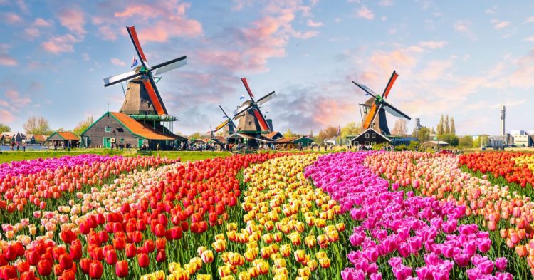Crypto Exchange Binance to Quit Netherlands After Failing to Acquire Anti-Money Laundering License