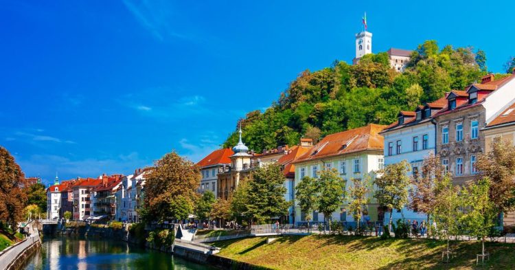 It’s a Beautiful Life in This Crypto Payments Hotbed