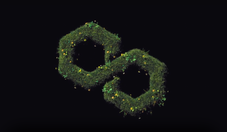 Swiss Titans Unleash Taurus on Polygon: Credit Suisse and Deutsche Bank Pave the Way for Tokenization on Ethereum’s Layer 2