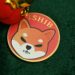 Shiba Inu (SHIB) Sends Shockwaves: Is Shibarium Coming in July? The Crypto Community is on the Edge of Their Seats