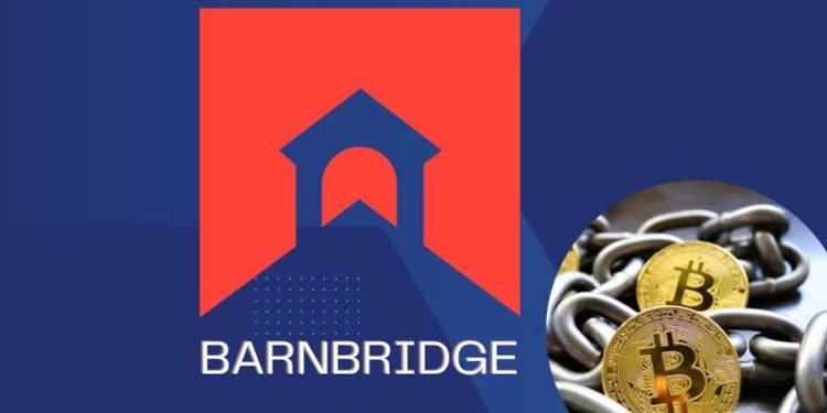 BarnBridge DAO Freezes Operations Amid SEC Probe, Can They Weather The Storm?