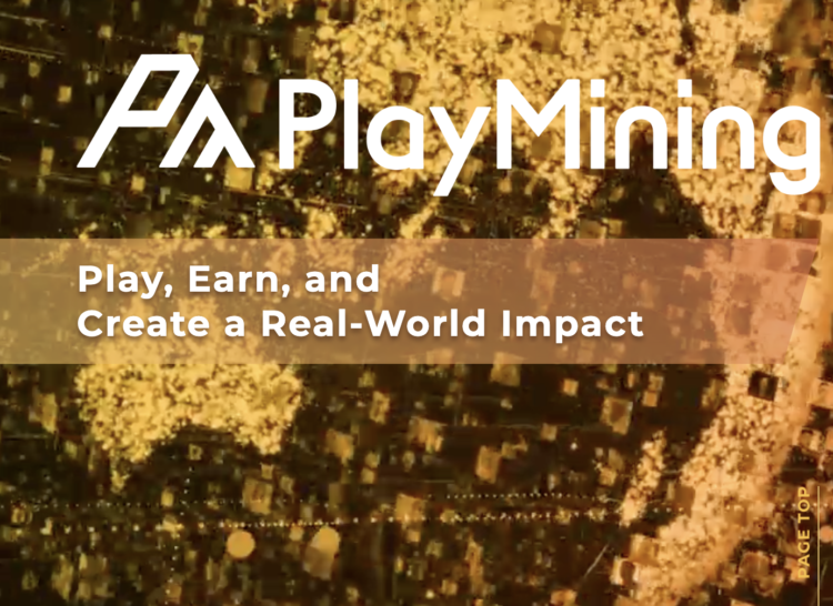 A Potential Plunge and Why Chimpzee Coin Could Be Your Safe Harbor