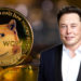 Elon Musk Incorporates Dogecoin Symbol In Twitter Bio, Triggering 5% Increase In Price