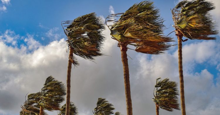 BTC, ETH Supply on Crypto Exchanges Fell in June: Goldman Sachs