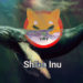 Shiba Inu Whale Holding 10% Of Total Supply Shocks The Market