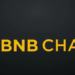 BNB Chain Sets New Records With Soaring User Activity