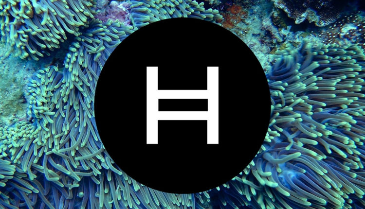 is It Too Late to Buy Hedera? HBAR Price Shoots Up 11% in 24 Hours as Shibie Raises $150,000